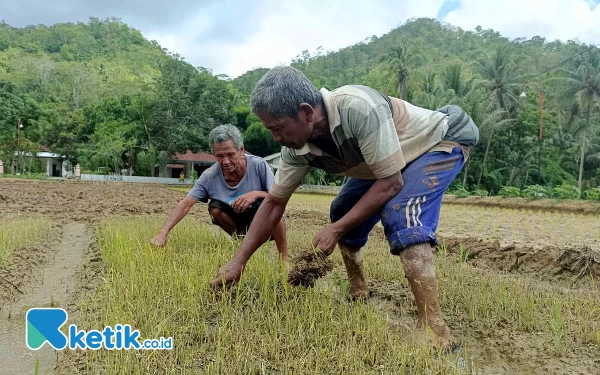 Thumbnail Berita - Tunggu Hasil Lab Investigasi GLI Pacitan, Gakkum KLHK Bersiap Surati Bupati