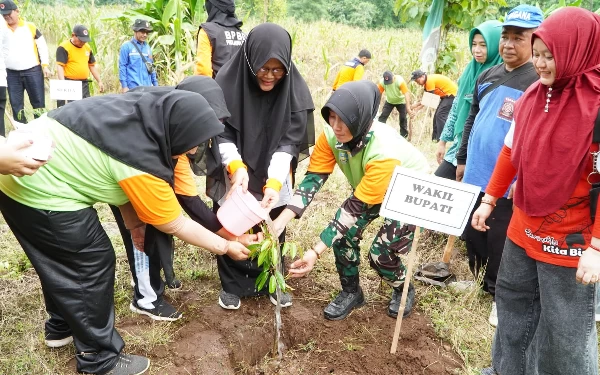 Thumbnail Mitigasi Bencana Hidrometeorologi, BPBD Situbondo Tanam Ribuan Pohon di Lahan Kritis