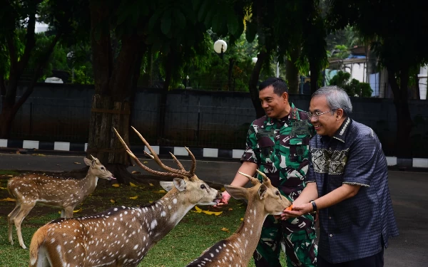 Thumbnail Berita - Dankormar Mayjen TNI Endi Supardi Mampu Berkomunikasi dengan Puluhan Ekor Rusa