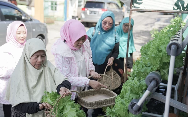 Program BRInita Sulap Lahan Sempit Jadi Urban Farming yang Produktif