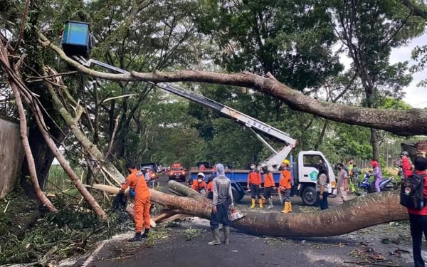 Thumbnail Berita - Personel DLH Kota Malang Tetap Bertugas Hingga Lebaran