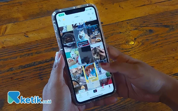 Thumbnail Yuk, Mengenal Layanan TikTok Notes dan Fitur yang Ditawarkan