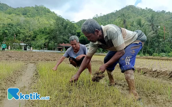 Thumbnail Berita - Update Terkini Kasus Dugaan Pencemaran Dampak Aktivitas PT GLI Pacitan