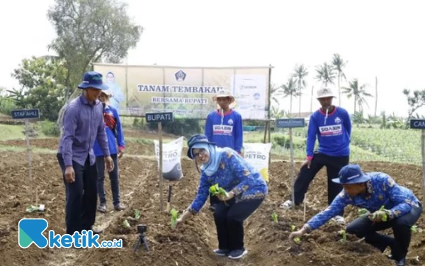 Thumbnail Berita - Bupati Rini Syarifah  Bareng Petani  Menanam Tembakau di Blitar