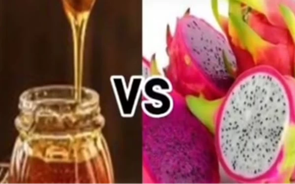 Thumbnail Berita - Bunda! Yuk Konsumsi Buah Naga Plus Madu, Anda Akan Merasakan Khasiatnya