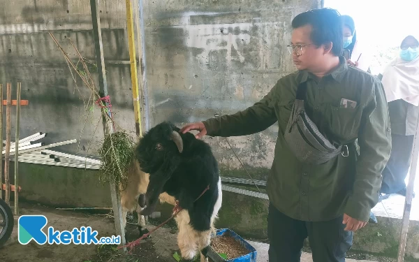 Thumbnail Berita - Sidak Kesehatan Hewan Kurban Jelang Idul Adha, DKPP Jember Temukan Kambing Sakit