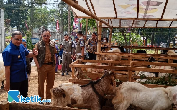 Thumbnail Berita - Bebas PMK, Pemkot Batu Persilahkan Masyarakat Sembelih Kurban Secara Mandiri