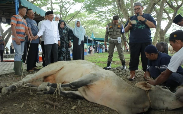 Thumbnail Berita - Idul Adha 1445 H, Pemkab Asahan Sembelih 113 Hewan Kurban