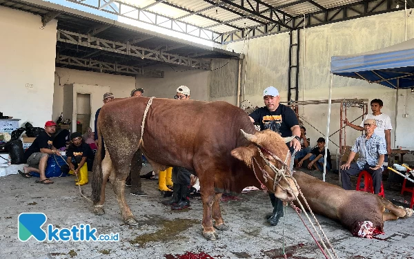 Sisihkan Uang Hasil Kerja, Sejumlah Wartawan Kurban 4 Ekor Sapi dan 2 Ekor Kambing