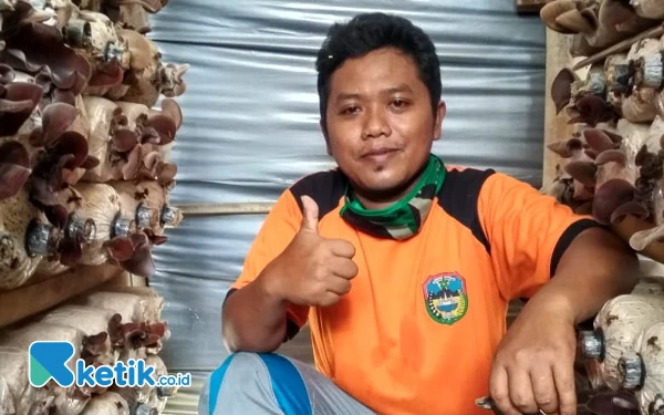 Thumbnail Berita - Kisah Petani Jamur Tiram Pacitan Bermodal Rp600 Ribu, Kini Kewalahan Penuhi Permintaan Pasar