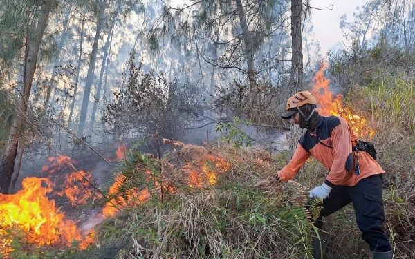 Thumbnail Berita - Musim Kemarau, BPBD Kota Batu Antispasi Karhutla