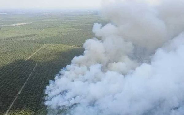 Thumbnail Berita - Ganggu Jarak Pandang Penerbangan, Kebakaran Lahan di Banyuasin Terus Membara