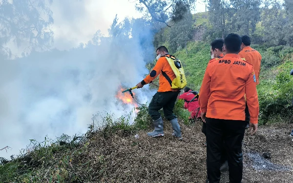 Thumbnail Berita - Hutan di Penanjakan Bromo Terbakar, BPBD Jatim Terjunkan Tim Pemadam