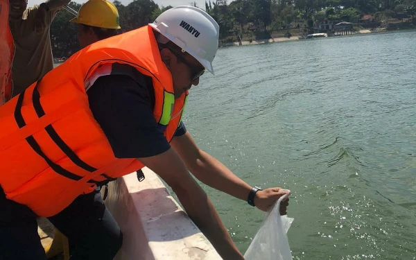 Thumbnail Berita - Konservasi Alam, PJT I Tebar 110 Ribu Benih Ikan di Waduk Karangkates