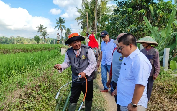 Thumbnail Berita - Atasi Hama Tikus, Kadin Lumajang Dirikan Rubuha dan Bantu 5 Kuintal Belerang