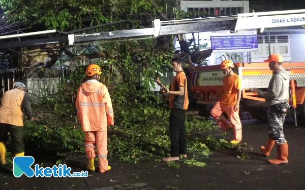 Memasuki Musim Hujan, BPBD Kota Malang Catat Lima Peristiwa Pohon Tumbang dalam Sepekan