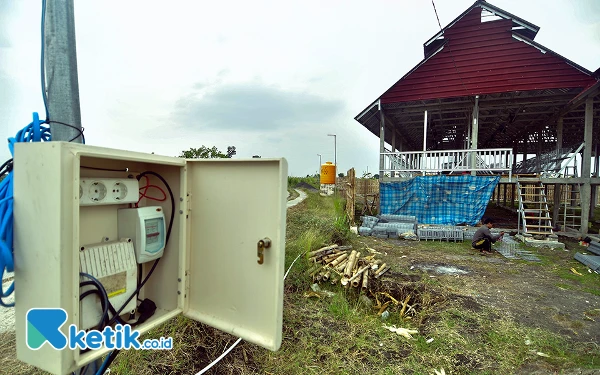 Thumbnail Seorang pekerja, Jupri, sedang menyiapkan kandang ayam petelur di Kabupaten Bojonegoro, Jawa Timur, Senin, 23 September 2024. Kandang ayam petelur yang hendak diisi hingga 2.000 ekor ayam ini merupakan salah satu pelanggan Program Electrifying Agriculture (EA) PT PLN (Persero) yang semakin diminati pelaku usaha di sektor agrikultur seperti pertanian, perikanan, perkebunan, hingga peternakan. Program EA adalah inovasi PLN untuk mengajak pelaku usaha di sektor agrikultur agar beralih menggunakan alat-alat serta mesin produksi berbasis listrik sehingga lebih maju dan modern. (Foto: Achmad Fazeri/Ketik.co.id)