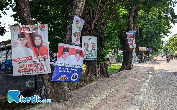 Marak APK Dipasang di Pepohonan, Bawaslu Sumsel Segera Lakukan Penertiban