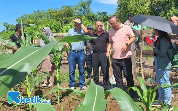 Thumbnail PT Wanatiara Persada Dorong Kualitas Pangan Karyawan, Sasar Petani Lokal Perkuat Hubungan Kekeluargaan