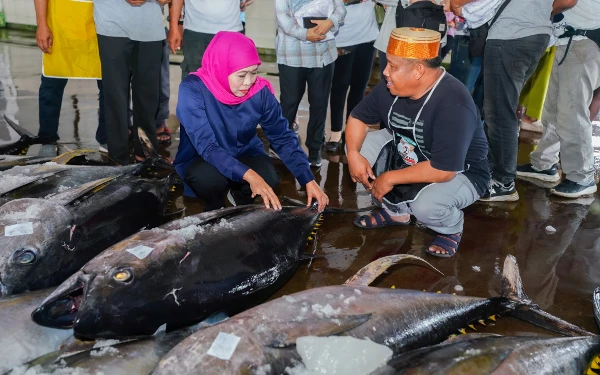 Thumbnail Berita - Datangi TPI Sendang Biru, Cagub Jatim Khofifah Kagum Tingginya Tangkapan Tuna Sirip Kuning