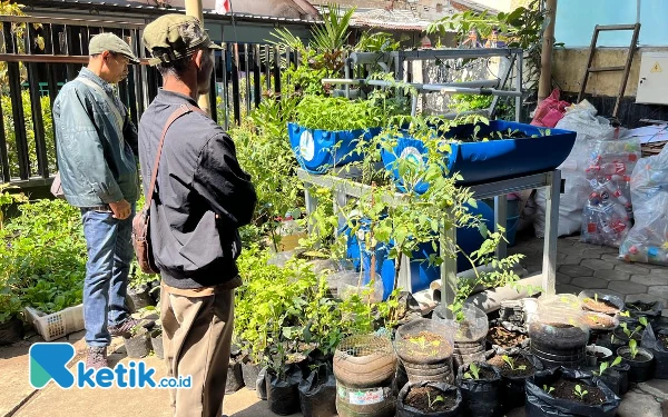 Thumbnail Berita - Urban Farming Selamatkan Kota Malang dari Rentan Rawan Pangan