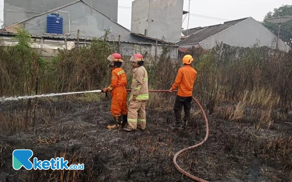 Thumbnail Berita - Gara-Gara Bakar Sampah Api Lalap Lahan di Cilegon, Nyaris Merembet ke Pemukiman Warga