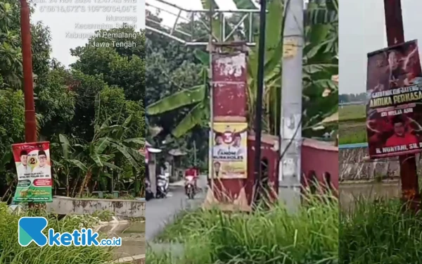 Thumbnail Berita - APK Terpampang di Desa Muncang Pemalang, Ketua Panwascam Bodeh Ngomel Tak Jelas