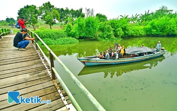 Thumbnail Sejumlah insan pers memotret perahu tradisional yang membawa wartawan, petugas gabungan, beserta logistik Pilkada 2024 dari atas jembatan kayu di Bluru Kidul, Kecamatan Sidoarjo, Kabupaten Sidoarjo, Jawa Timur, Selasa, 26 November 2024. Selain mengambil gambar proses distribusi logistik Pilkada 2024, sebagian insan pers juga turut naik perahu logistik untuk membersamai petugas demi mengawal langsung proses demokrasi agar dapat berjalan dengan baik dan tentu juga untuk menghadirkan karya jurnalistik yang berkualitas. (Foto: Achmad Fazeri/Ketik.co.id)