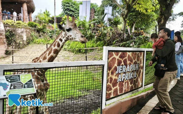 Thumbnail Berita - Libur Nataru, Jatim Park Group Targetkan 2 Ribu Pengunjung Per Hari