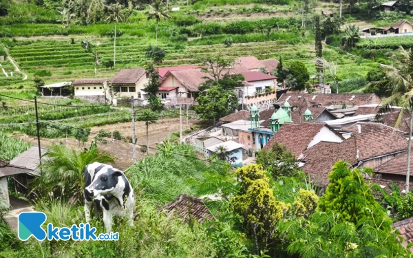 Thumbnail Berita - Berkunjung ke Brau, Dusun Penghasil Susu di Kota Batu