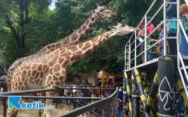 Thumbnail Berita - Masjid Ampel, Cheng Hoo dan KBS Jadi Jujukan  Wisatawan Rayakan Idul Fitri di Surabaya