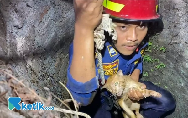 Sederet Insiden Unik Ditangani Damkar Pacitan: Selamatkan Kucing, Tawon hingga Gerinda Cincin