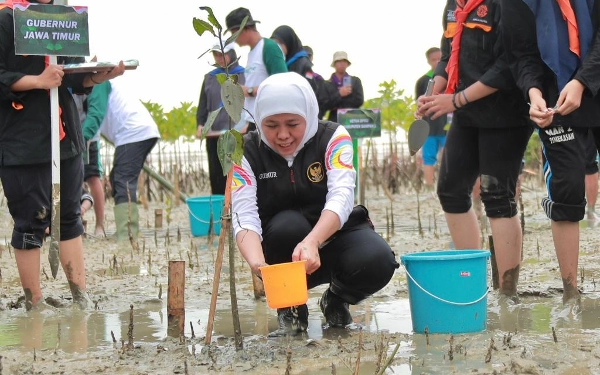 Thumbnail Berita - Tanam 5.750 Bibit Mangrove, Gubernur Khofifah Gaungkan Sedekah Oksigen