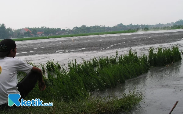 Thumbnail Berita - Menteri Agraria dan Gus Muhdlor Serahkan Sertipikat Tanah Gratis Warga Korban Lumpur Panas Porong