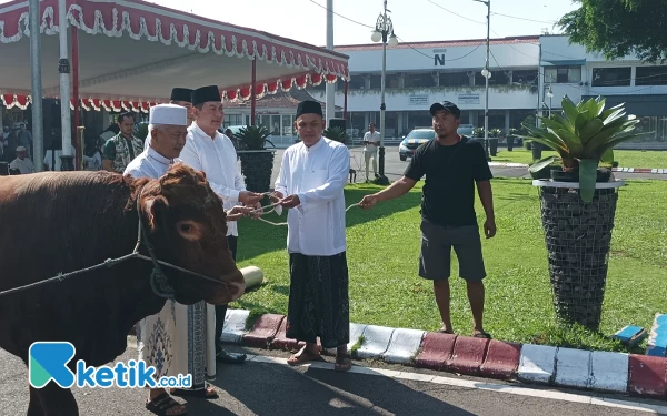 Thumbnail Berita - Peduli Honorer, Bupati Malang Bagikan 1 Ekor Sapi di Hari Raya Idul Adha