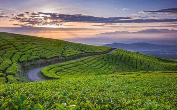 Thumbnail Berita - 5 Objek Wisata Alam di Kota Pagaralam dengan Panorama Menakjubkan