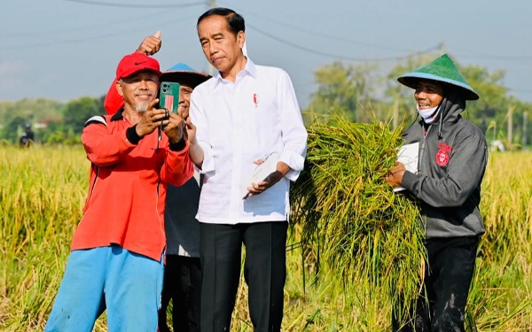 Tinjau Panen Raya di Ngawi, Presiden Jokowi: Produktivitas 10,5 Ton per Hektare