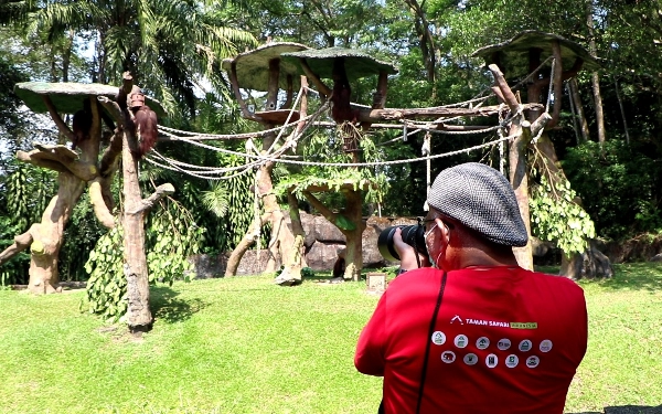 Taman Safari Grup Gelar International Animal Photo and Video Competition