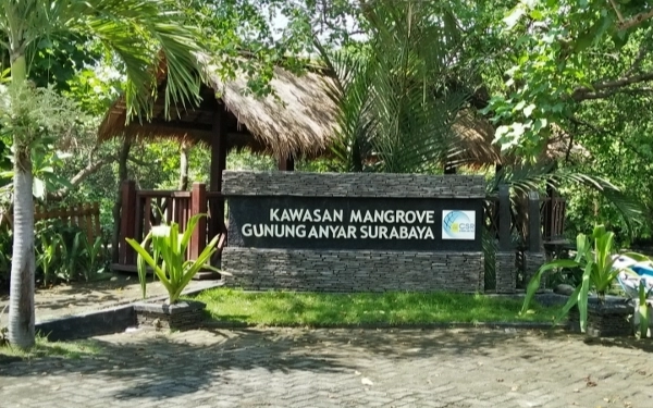 Thumbnail Berita - Hutan Gunung Anyar Akan Jadi Kebun Raya Mangrove Surabaya