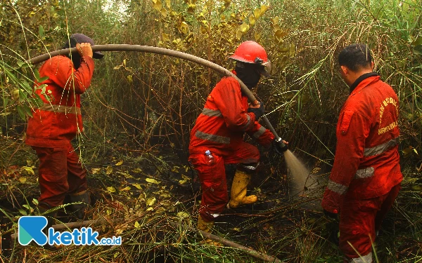 Thumbnail Lahan gambut dipadamkan petugas di Desa Timbangan Kecamatan Indralaya Utara Kabupaten Ogan Ilir Sumatera Selatan. (Foto: Wahyu R/Ketik.co.id)