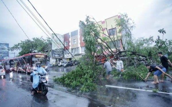 Thumbnail Berita - Awas ! Puluhan Pohon Roboh Akibat Cuaca Ekstrem di Surabaya 