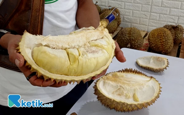 Thumbnail Berita - Durian Lokal Paling Banyak Diburu, Waspada No 5!