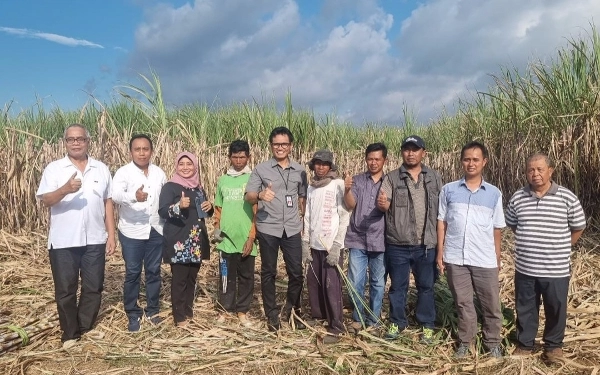 Thumbnail Petani Tingkatkan Kualitas Tebu Lewat Bimbingan Disbun Jatim