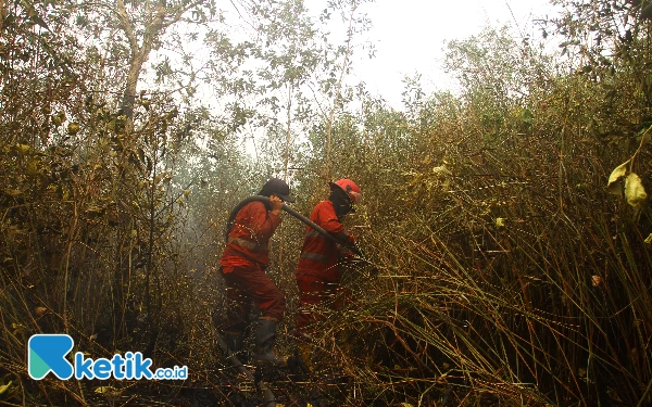 Thumbnail Manggala Agni padamkan api di Desa Timbangan Kecamatan Indralaya Utara Kabupaten Ogan Ilir Sumatera Selatan. Selasa (17/10/2023). (Foto: Wahyu R/Ketik.co.id)